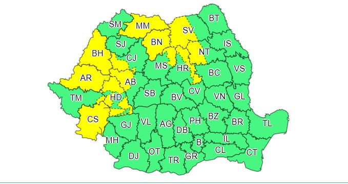 cod galben ninsori viscol