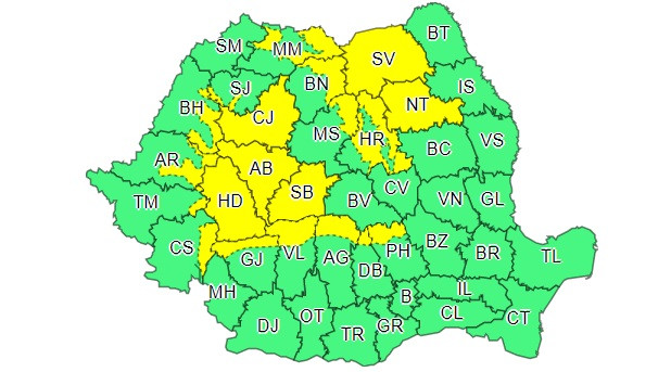 cod galben ninsori viscol