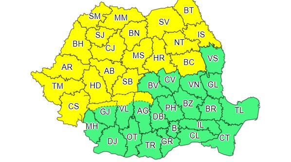 cod galben ninsori viscol