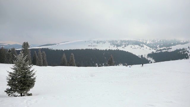 Mesaj RO-Alert în zonele vizate de cod roşu. Meteorologii anunţă rafale de vânt ce vor depăşi 140 km pe oră