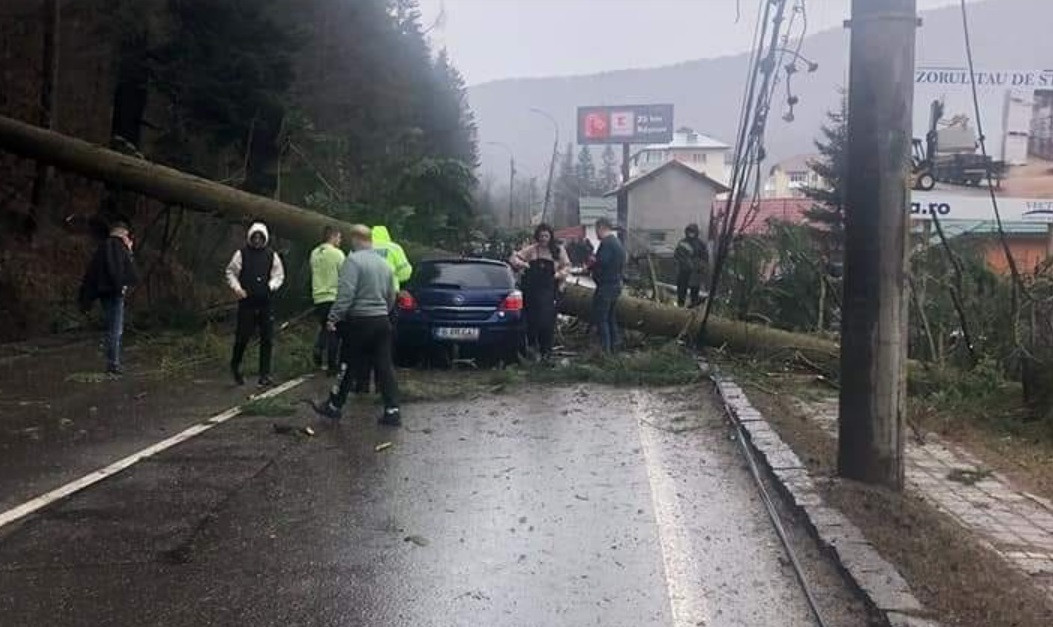 Un brad a căzut peste o mașină pe DN 1, la Azuga. Cum arată mașina după incident. GALERIE FOTO