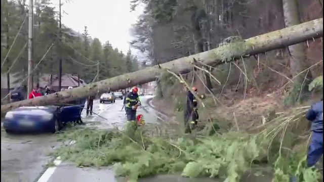 Aproape jumătate din țară, sub cod galben și portocaliu de viscol, până luni după amiază. „De-abia îmi țin căciula pe cap”