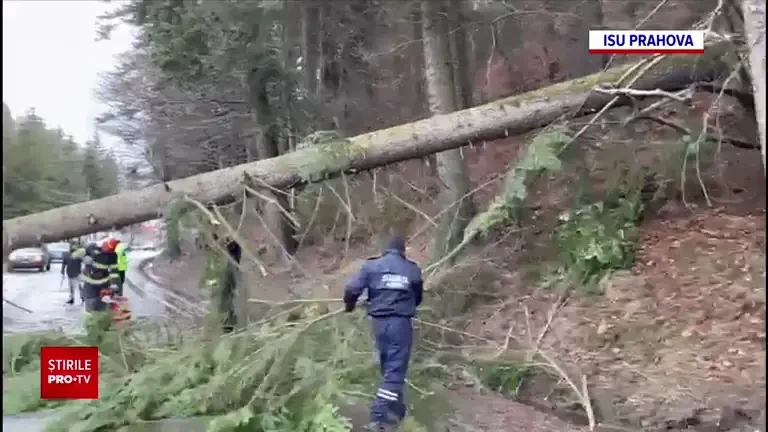 Aproape jumătate din țară, sub cod galben și portocaliu de viscol, până luni după amiază. „De-abia îmi țin căciula pe cap”