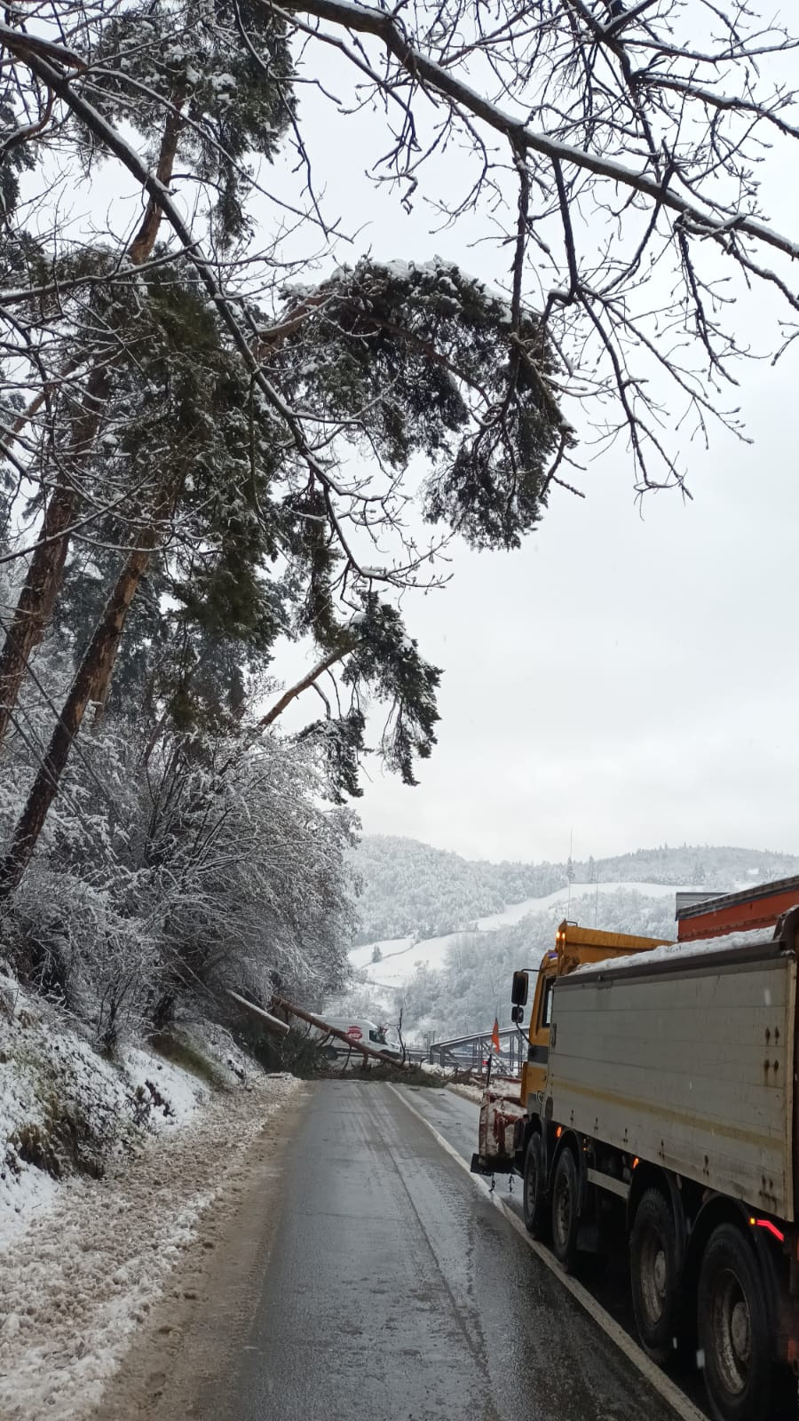 Ninsori abundente și viscol în România. Județul în care peste 2.400 de oameni au rămas fără curent electric