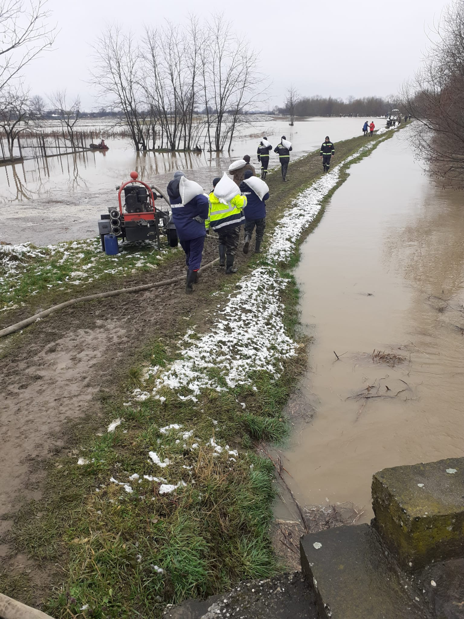 Cod roșu de inundații pe râul Bega: A fost emis mesaj RO-Alert. Zeci de elevi au fost evacuați de la ore