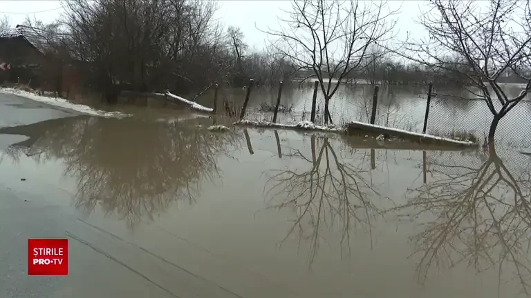 Cod roșu de inundații pe râul Bega: A fost emis mesaj RO-Alert. Zeci de elevi au fost evacuați de la ore