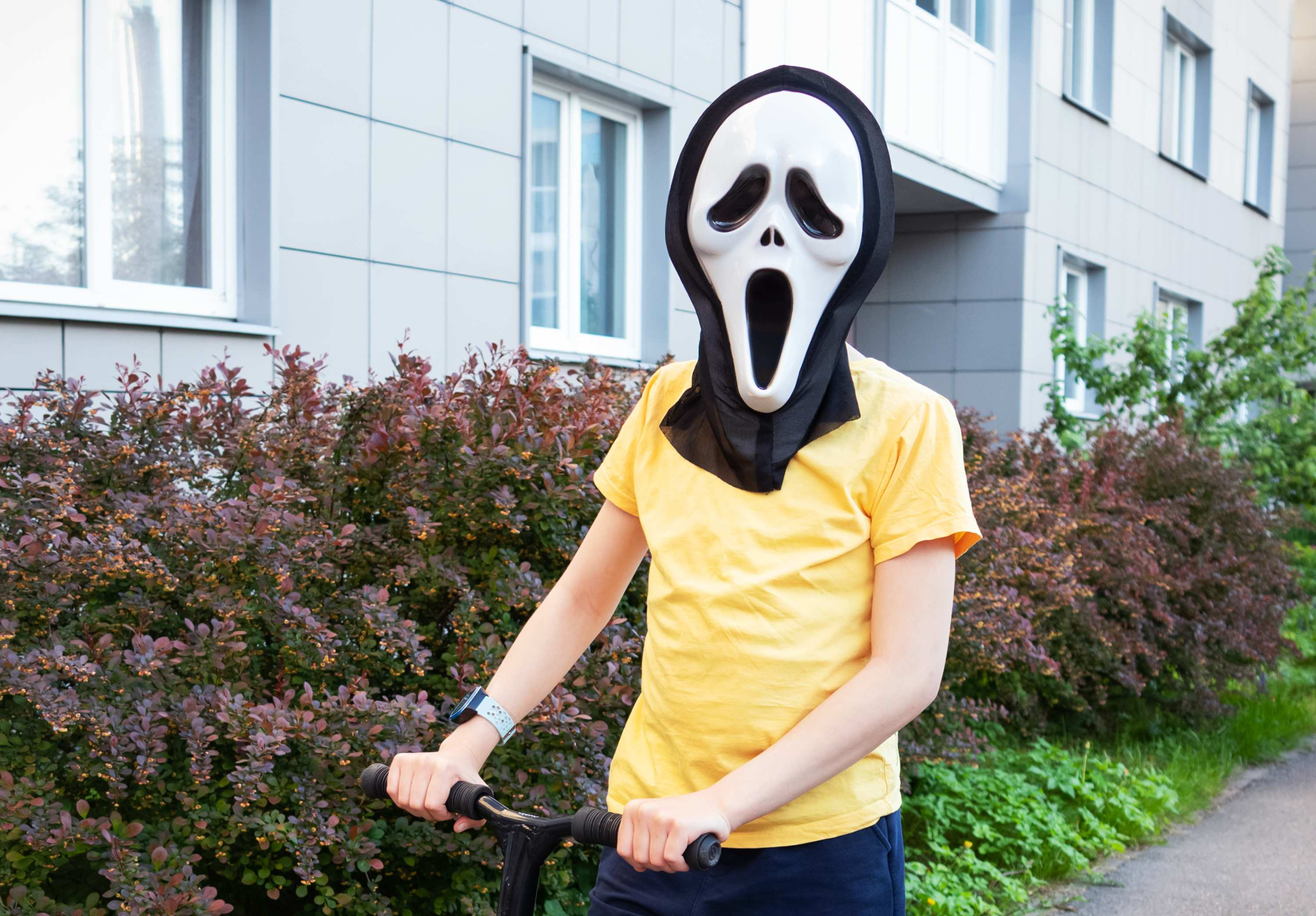 Personaj de groază, ridicat de pe stradă după mai multe apeluri de urgență. Poliția a emis un comunicat