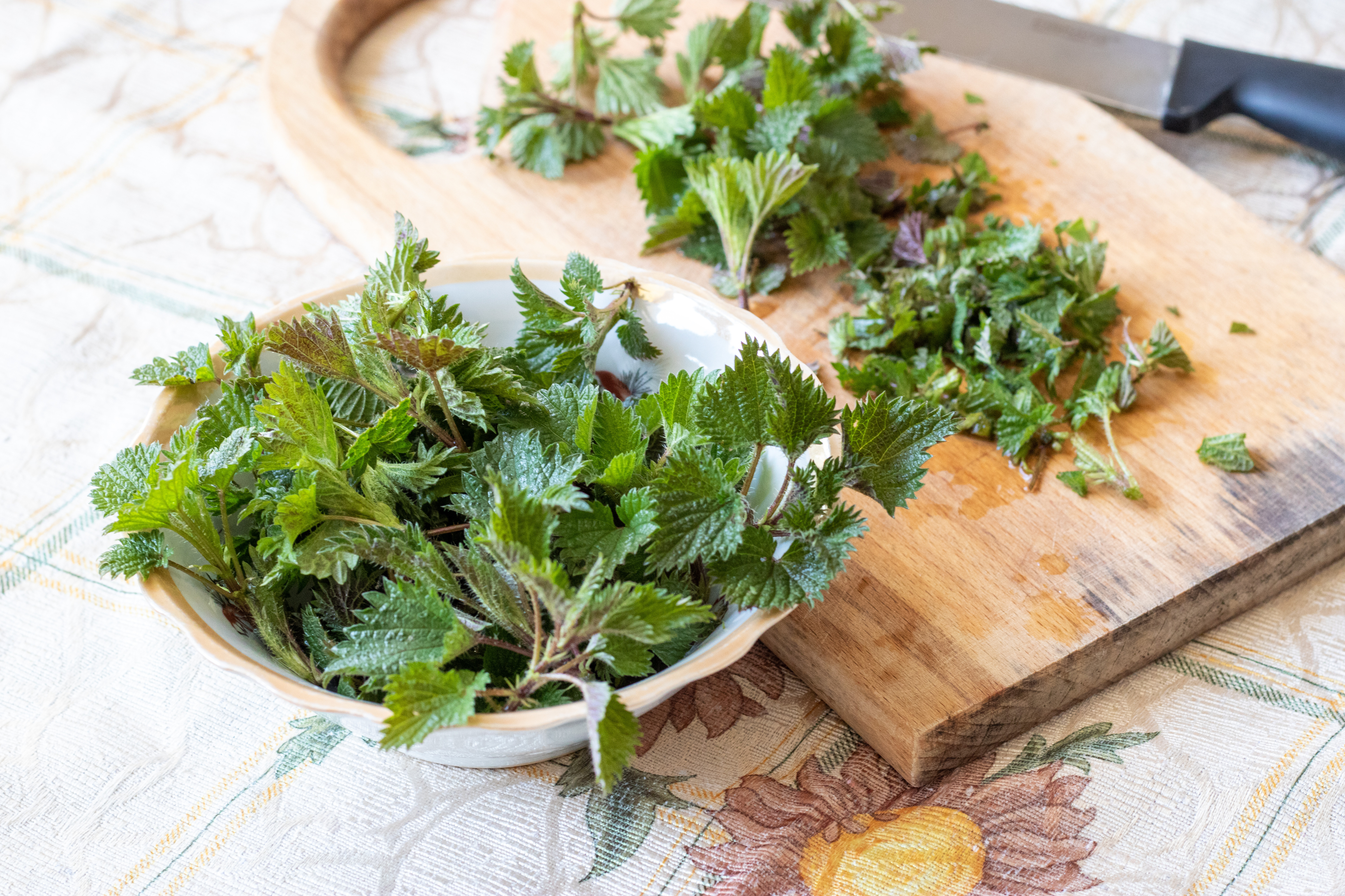 Ceai de urzici – băutura miraculoasă cu multiple beneficii pentru sănătate și vitalitate. Cum se prepară corect