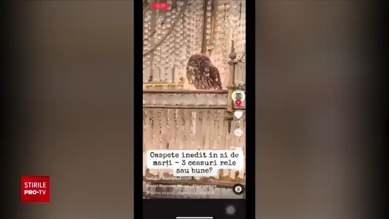 Aplicația TikTok ar putea fi interzisă și în instituțiile de stat din România. DNSC a cerut o analiză