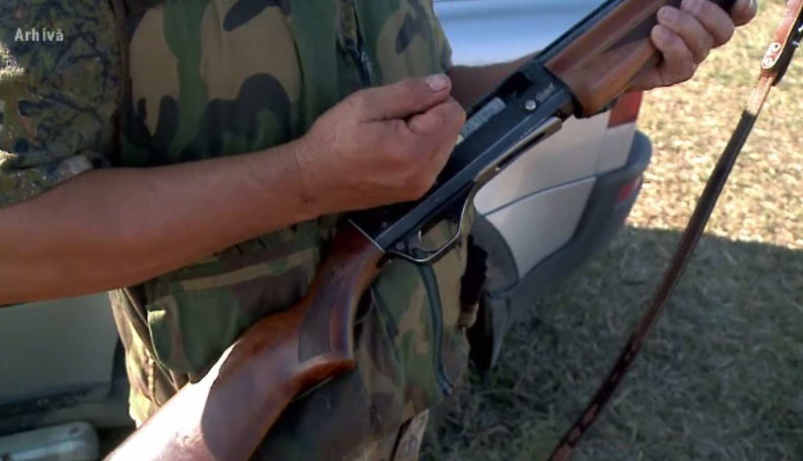 A început vânătoarea de șacali în județul Dolj. Zeci de animale au fost sfâșiate într-o fermă