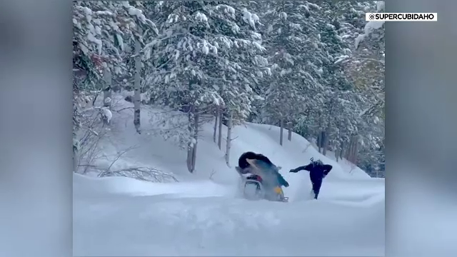 Un elan a vrut să atace un bărbat aflat pe snowmobil, dar a eșuat. Ce s-a întâmplat după cu animalul | VIDEO