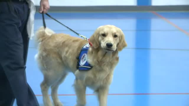 Câinele este prietenul omului chiar și în închisoare: ”Oferă oamenilor libertatea pe care noi nu am apreciat-o”