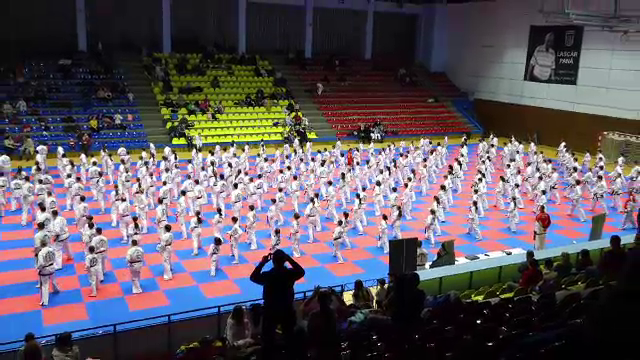 Sute de sportivi s-au reunit în weekend în Baia Mare să-și perfecționeze tehnicile de taekwondo