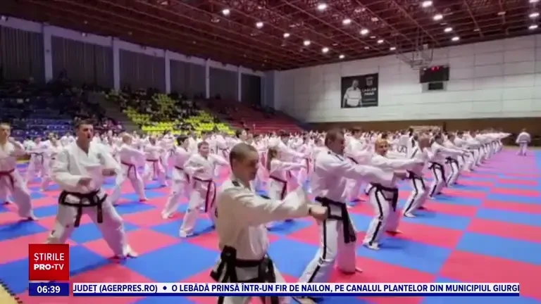 Sute de sportive s-au reunit în weekend în Baia Mare, să-și perfecționeze tehnicile de taekwondo
