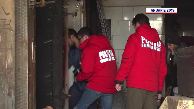 Motivul scandalos pentru care un brașovean sadic a scăpat basma curată după ce a ucis în chinuri zeci de câini și pisici