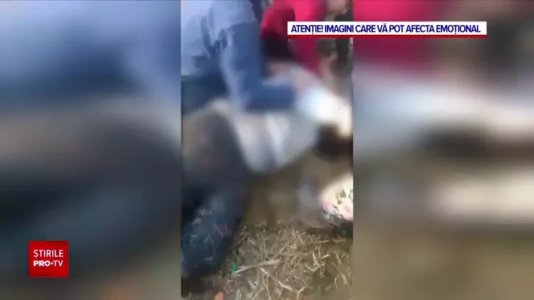 Românii angajați la o fermă din Italia, puși de patron să muncească până la epuizare. O femeie a leșinat pe câmp