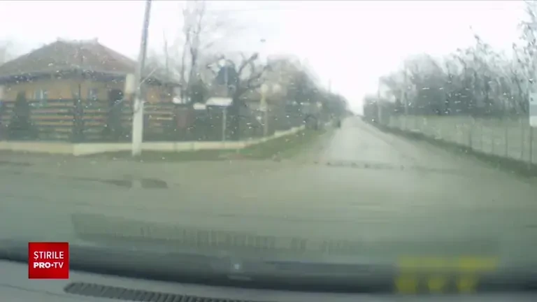 Percheziții în Piața de Flori din București înainte de 8 martie. Zeci de comercianți audiați pentru abuz în serviciu