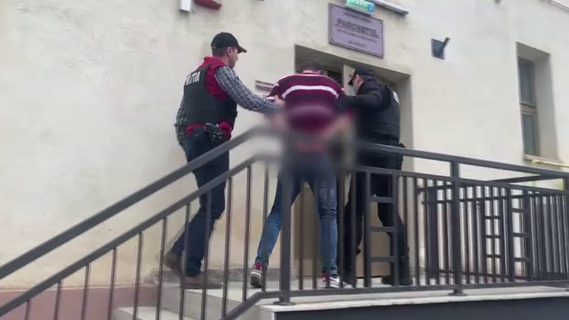 Ce le-a spus polițiștilor un bărbat din Bacău, după ce a omorât în bătaie un mânz. Riscă ani grei de închisoare