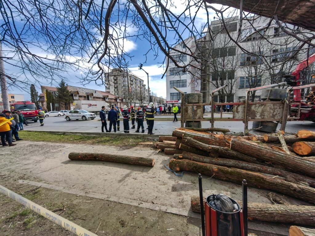 Pașcani