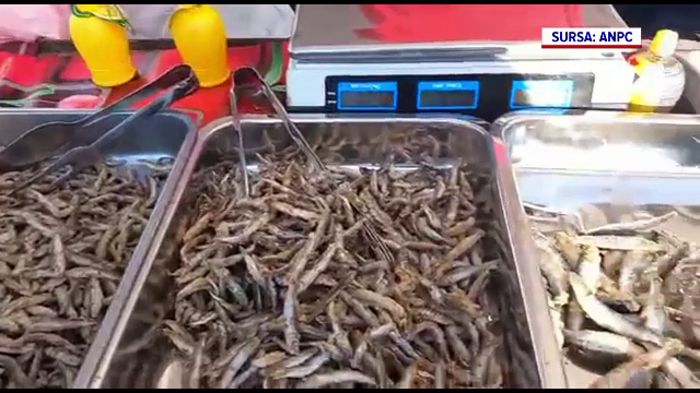 Târgul de mucenici din Parcul Tineretului, închis la scurt timp după deschidere de ANPC. Ce au găsit inspectorii