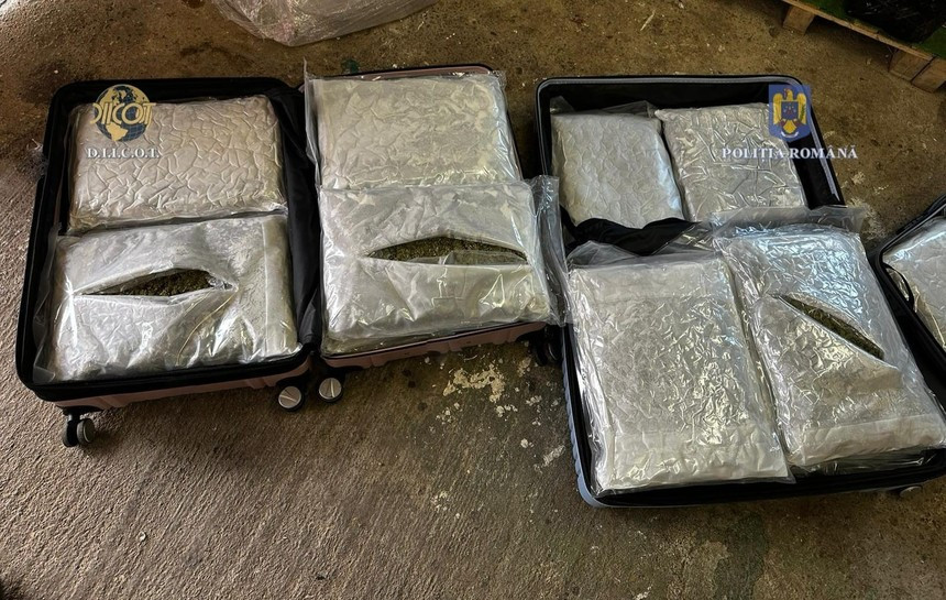 Un român și-a trimis singur 37 de kg de cannabis din Spania în Timișoara. Ce s-a întâmplat când a sosit curierul