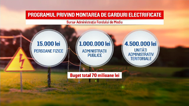 Bani pentru montarea de garduri electrificate. Ce sume pot primi cei care trăiesc în localități frecventate de urși