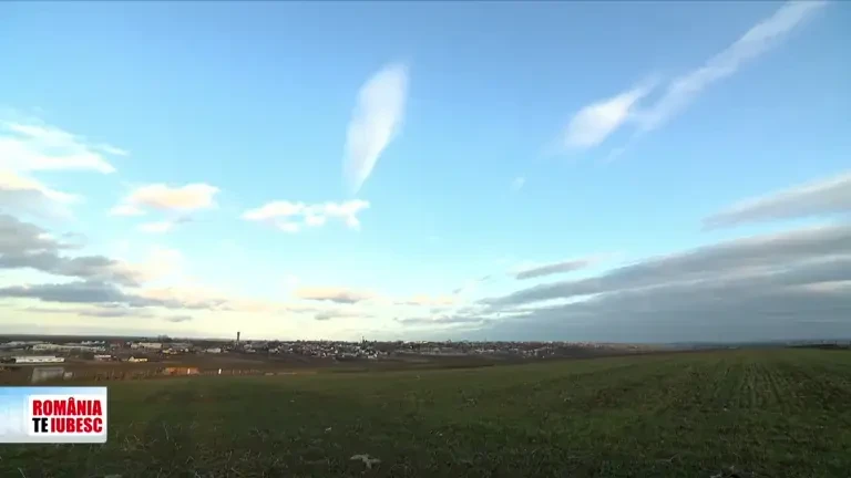 Pandemia paralelă | Birocrația din Minister, motivul pentru care primăriile cumpără acum echipamente împotriva pandemiei