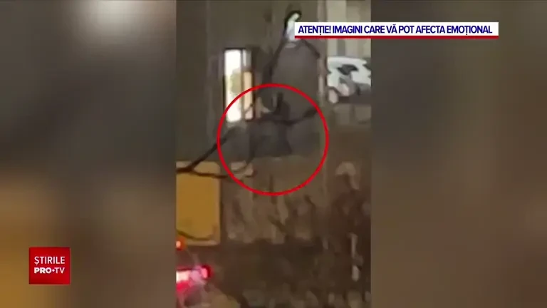 Un copil nenăscut, printre victimele masacrului din Hamburg. Bebelușul de șapte luni a fost lovit în pântecele mamei