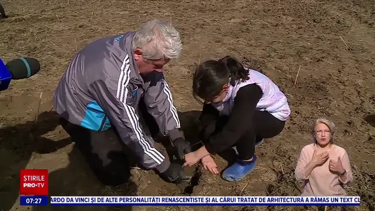 Zeci de mii de copaci au fost plantați în Sahara Olteniei. A fost acoperită o suprafață de șase hectare