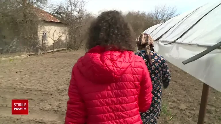 Locuitorii de lângă marile orașe își cultivă singuri legumele în solarii, pentru consum propriu. Așa evită prețurile mari
