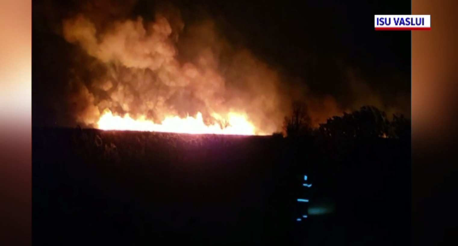 Incendii de vegetație în două localități din Vaslui. Ce au descoperit pompierii la fața locului