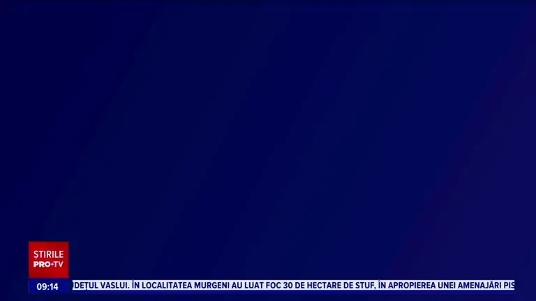 iBani. Cum putem cumpăra polițe RCA mai ieftine. Metoda prin care putem economisi câteva sute de lei