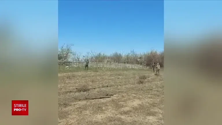 A început vânătoarea de șacali în județul Dolj. Zeci de animale au fost sfâșiate într-o fermă