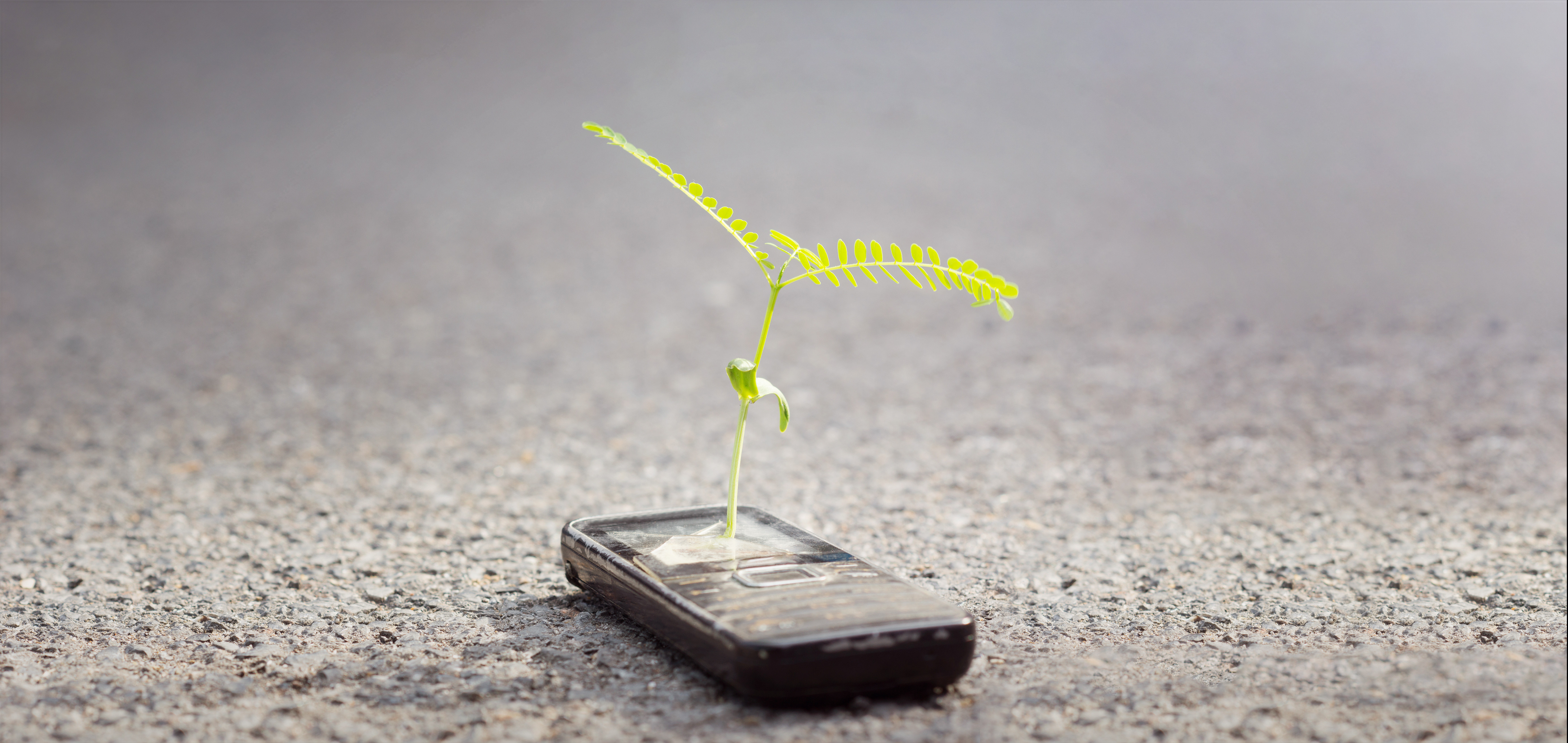 (P) Doar 2 telefoane din 100 ajung să fie reciclate. Ce fac românii cu smartphone-urile vechi