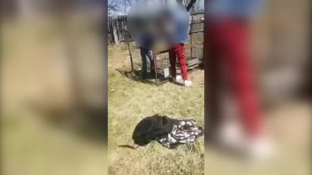 Tatăl băiatului băgat de colegi într-o cușcă și batjocorit spune că nu a fost luată nicio măsură, deși a trecut un an