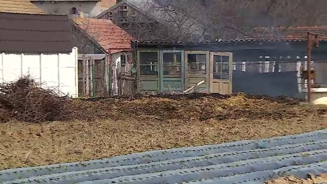 Un tată a incendiat 3.000 de baloți de furaje, care aparțineau fiului său. Motivul pentru care a recurs la acest gest