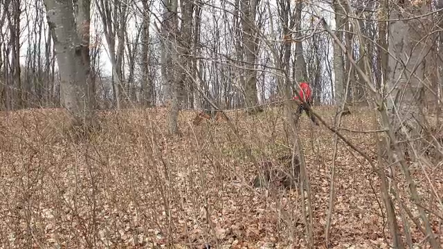 Un tânăr din Bihor dat dispărut a fost găsit mort într-o pădure din Cluj. Sunt luate în calcul mai multe ipoteze