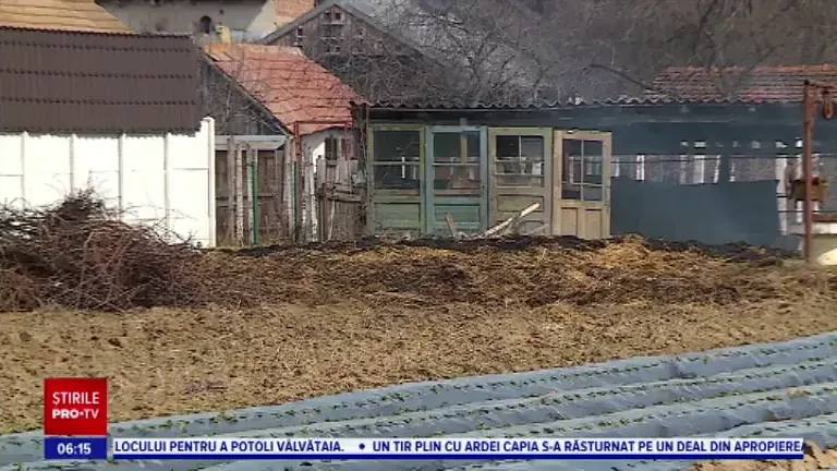 Un tată a incendiat 3.000 de baloți de furaje, care aparțineau fiului său. Motivul pentru care a recurs la acest gest