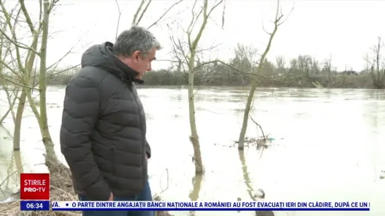 Habitatul animalelor sălbatice care trăiesc pe malul Mureșului, tulburat de curățenia făcută de autoritățile din Arad