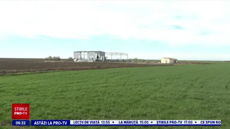 Comuna Satchinez din Timiș, sufocată de gunoaie. A existat acolo o stație de sortare, care acum e abandonată