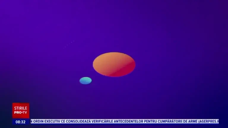 Cum pot fi monitorizate pădurile din România de oricine, cu o aplicație universală, românească. A fost premiată de CE