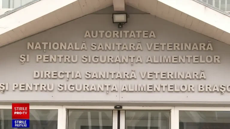 O adevărată mafie a cărnii de cal, la Brașov. Pe mesele cui ajungea marfa în final