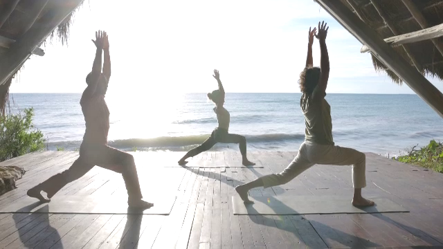 Puppy yoga câștigă adepți și în România. Cât costă o ședință de yoga printre căței