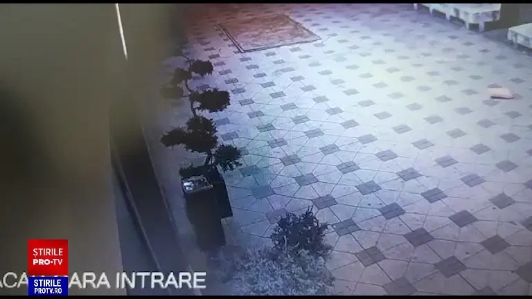 Monopol pe cazinourile și sălile de jocuri din țară. Clienți bătuți de paznicii care se ocupau de „recuperarea prejudiciilor”