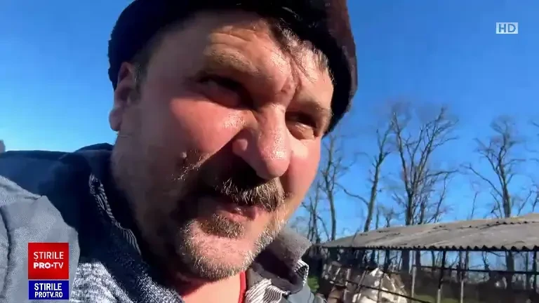 Cât costă carnea de miel cu o lună înainte de Paște. Avem cele mai mari prețuri din UE