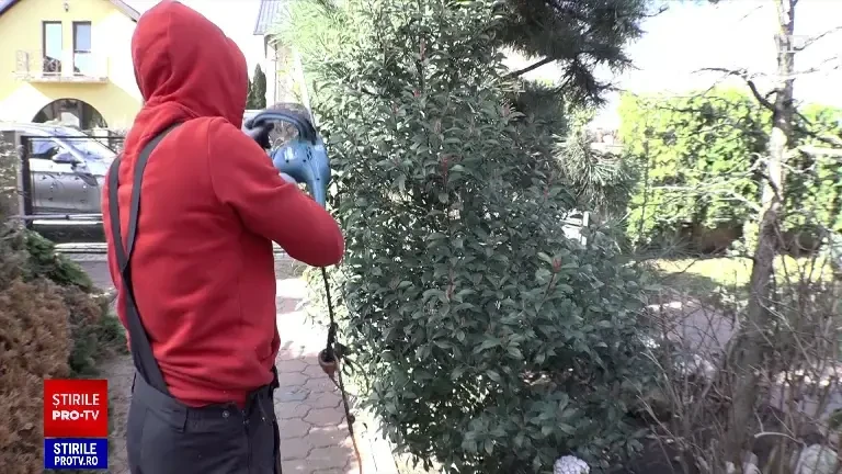 Începe sezonul amenajării grădinilor. Operațiunea costă o mică avere, dacă apelăm la profesioniști