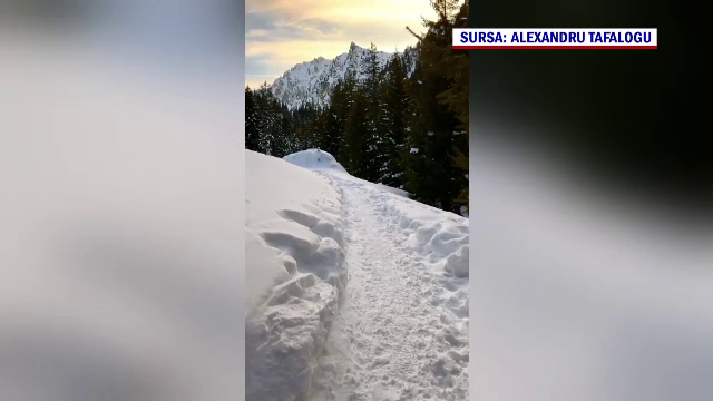 Cum a scăpat cu viață tânăra care a căzut într-o prăpastie, în Valea Rea. Plecase la drumeție cu prietenul ei