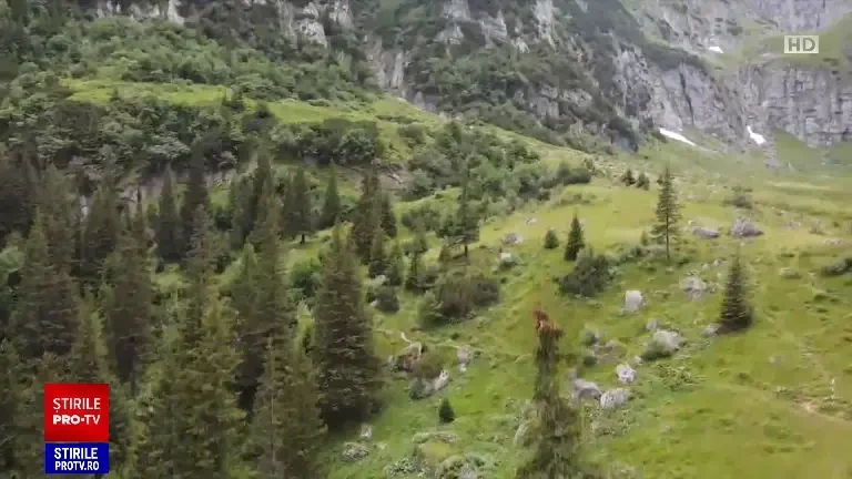 Cum a scăpat cu viață tânăra care a căzut într-o prăpastie, în Valea Rea. Plecase la drumeție cu prietenul ei