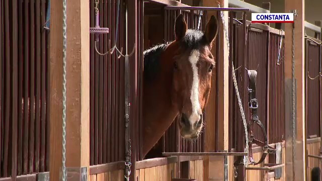 Echitația devine tot mai populară în România. Multe centre au ajuns adevărate complexuri turistice