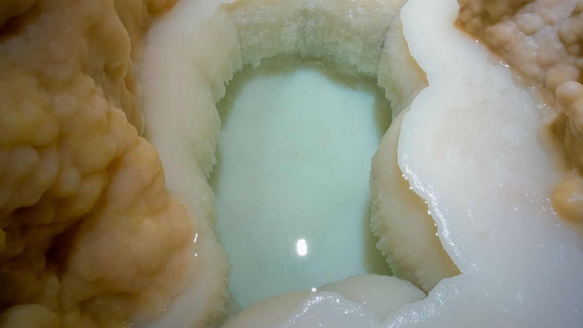 Descoperirea ”extraterestră” făcută într-un parc național. Oamenilor de știință nu le-a venit să creadă